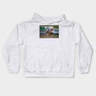 RODEOS, HORSES, COWBOYS Kids Hoodie